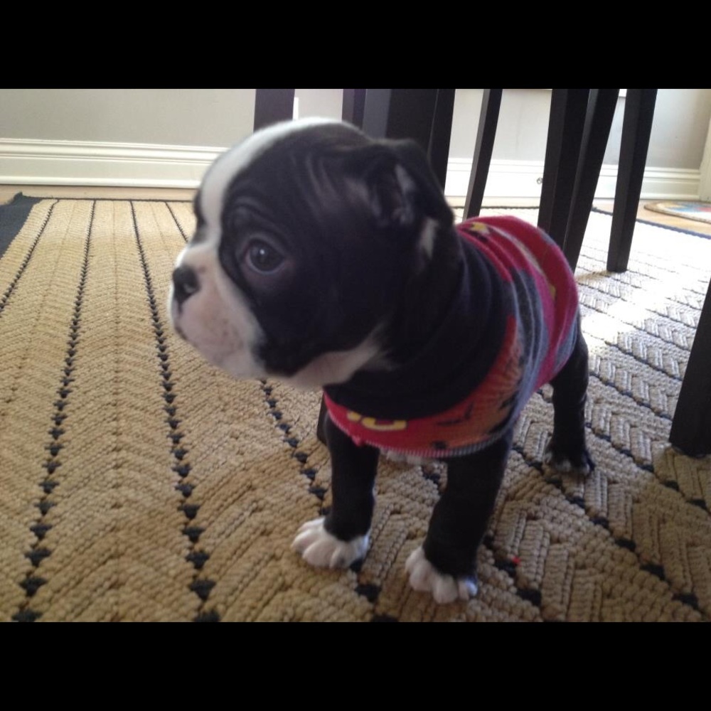 Meet your Posher, Chiqui